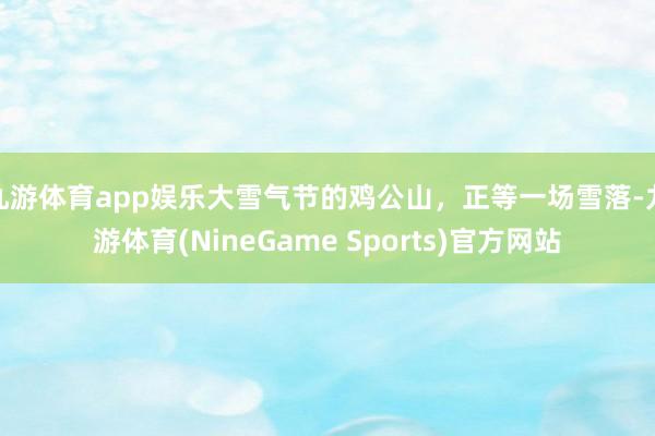 九游体育app娱乐大雪气节的鸡公山，正等一场雪落-九游体育(NineGame Sports)官方网站
